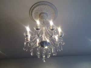 IMG_6479